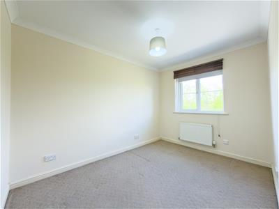 Picture 24